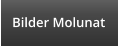 Bilder Molunat
